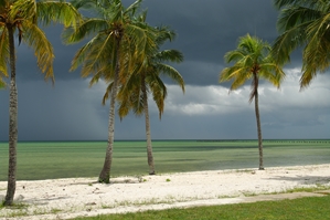 Wall paper Cuba